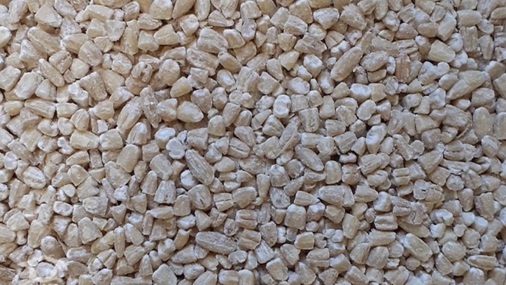 بلغور گندم خوزستان