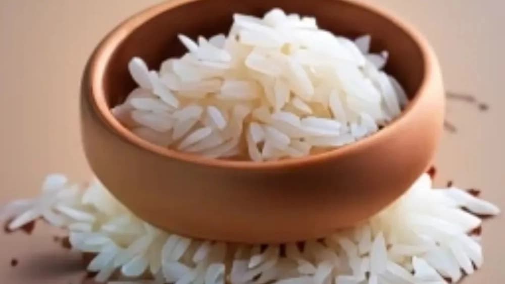 تولید برنج محلی میداوود